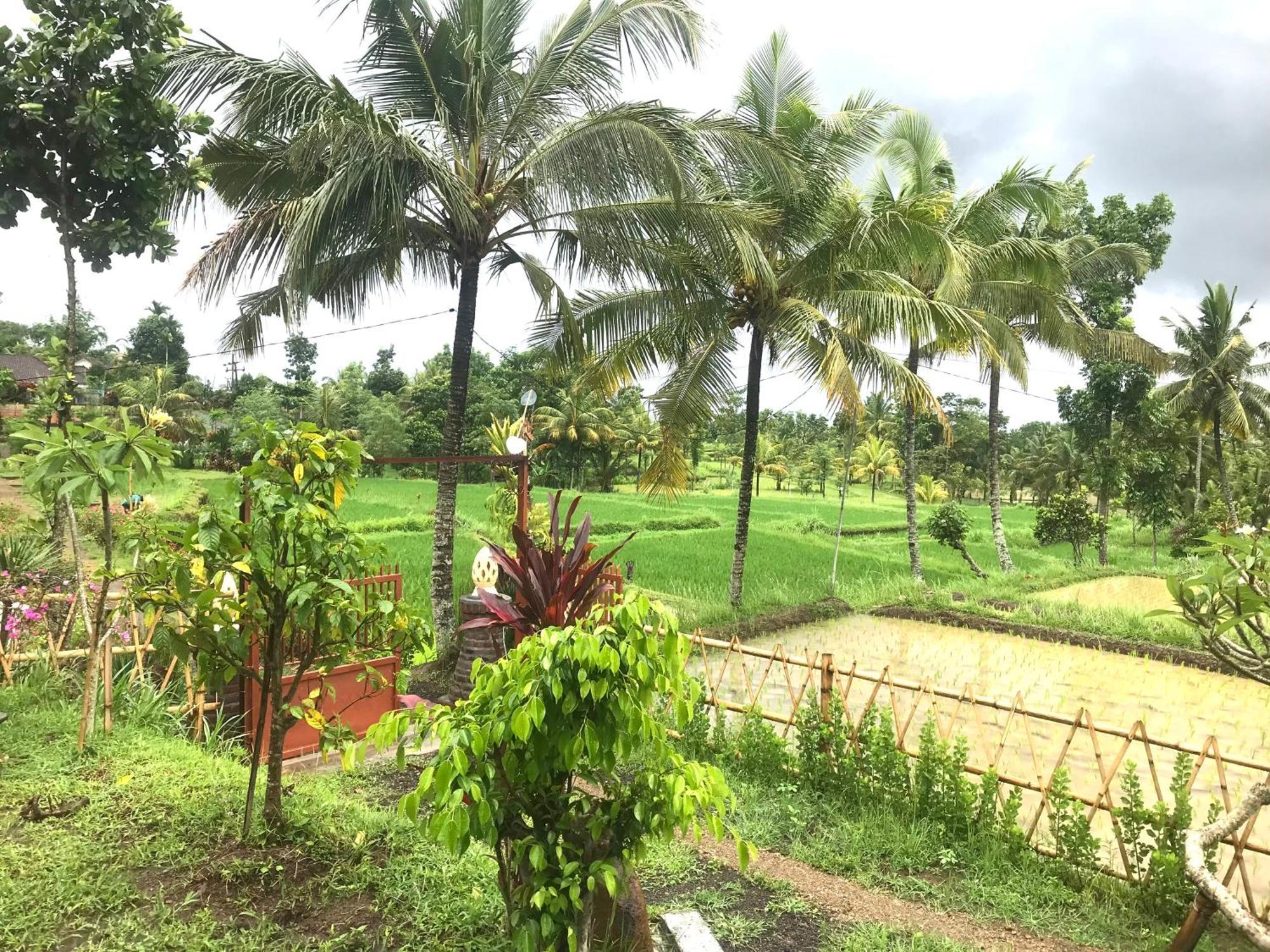 Bello Bungalow Batukliang 외부 사진