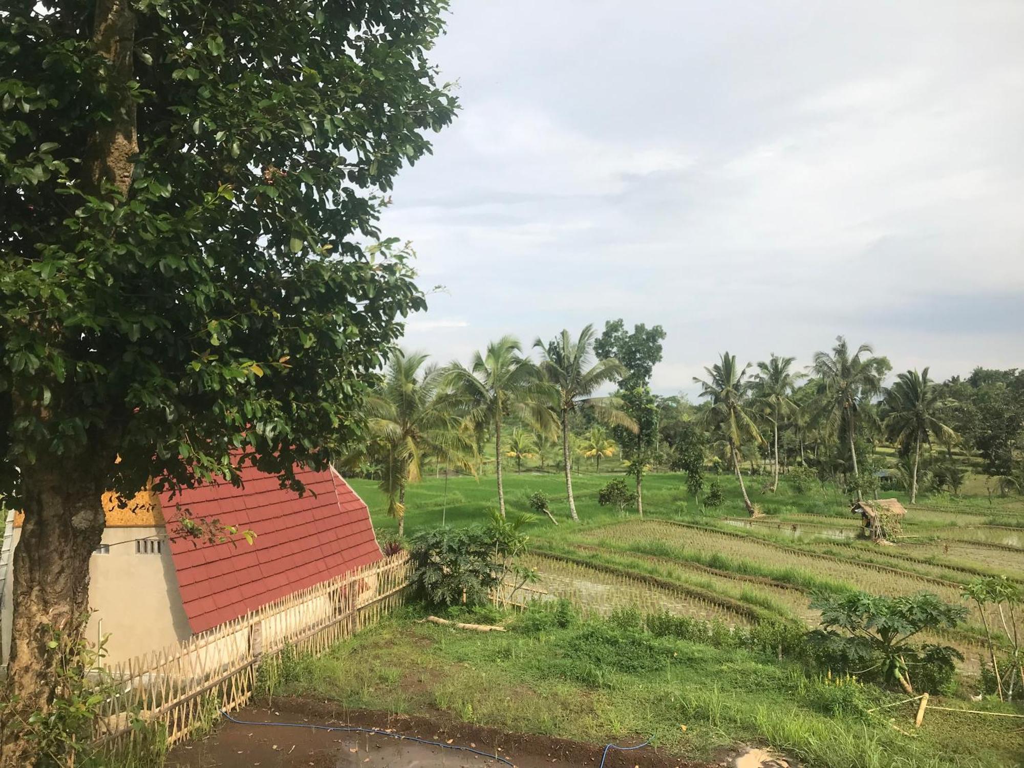 Bello Bungalow Batukliang 외부 사진
